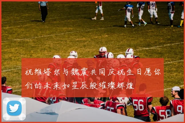 祝维塔尔与魏震共同庆祝生日愿你们的未来如星辰般璀璨辉煌