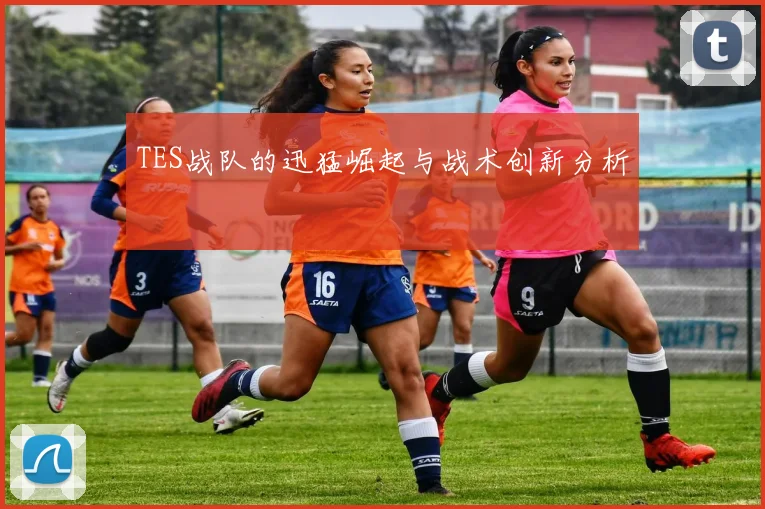 TES战队的迅猛崛起与战术创新分析